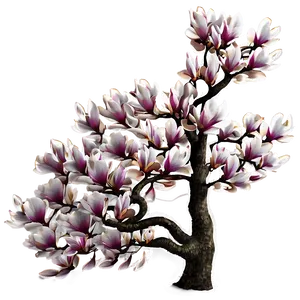 Magnolia Tree In Autumn PNG 06212024