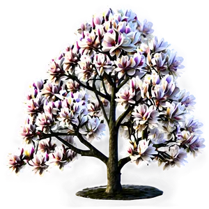Magnolia Tree In Autumn PNG Nyx71 PNG