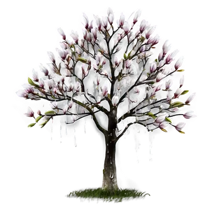 Magnolia Tree In Rain PNG 06212024