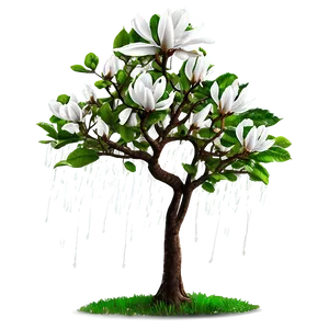 Magnolia Tree In Rain PNG Ymb91 PNG