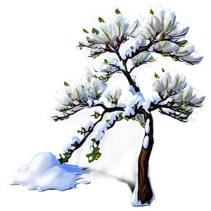 Magnolia Tree In Snow PNG Xan20