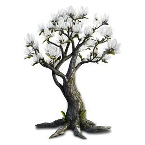 Magnolia Tree Wedding Venue PNG 40 PNG