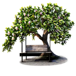 Magnolia Tree With Bench Underneath PNG Ewu PNG