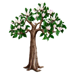 Magnolia Tree With Carved Heart PNG 06212024