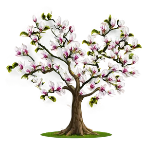 Magnolia Tree With Carved Heart PNG Dvk PNG