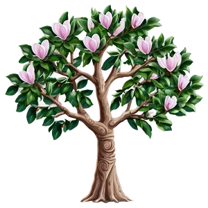 Magnolia Tree With Carved Heart PNG Ooa87 PNG