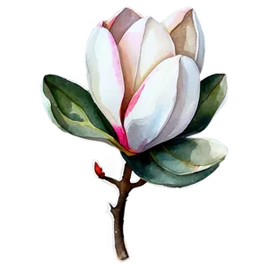 Magnolia Watercolor Charm PNG Lgx31