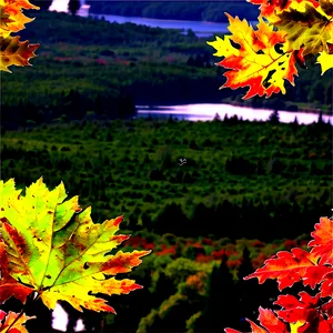 Maine Fall Foliage Splendor Png Tds74 PNG image