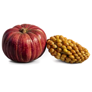 Maine's Autumn Harvest Png 81 PNG image