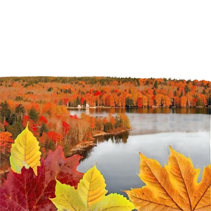 Maine's Colorful Autumn Leaves PNG 06202024