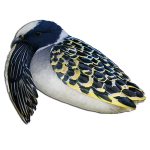 Maine Wildlife Encounter PNG Ptv PNG