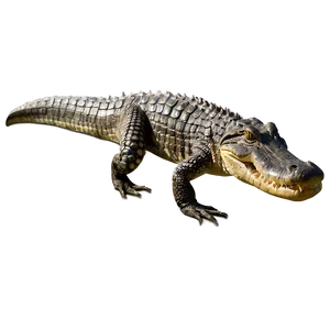 Majestic Alligator PNG Ipq46 PNG