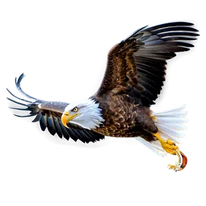 Majestic American Eagle PNG 43