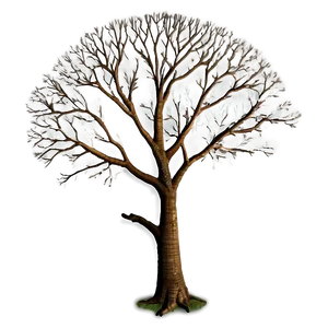 Majestic Bare Tree PNG 65
