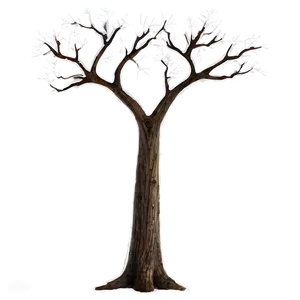 Majestic Bare Tree PNG Uwb67