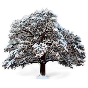 Majestic Big Tree In Snow PNG Bji PNG