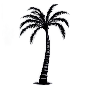 Majestic Black Palm Tree Png 11 PNG image