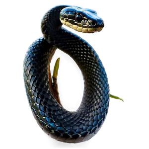Majestic Black Snake PNG 89