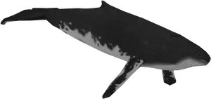 Majestic Black Whale Illustration PNG image