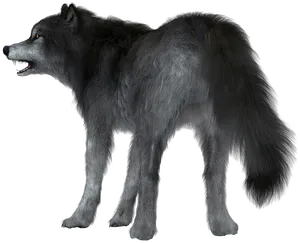 Majestic Black Wolf Profile