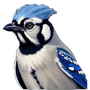 Majestic Blue Jay Portrait PNG 06262024