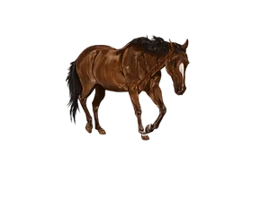 Majestic Brown Horse Artwork