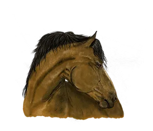Majestic_ Brown_ Horse_ Portrait PNG image