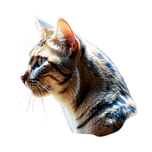 Majestic Cat Head Profile PNG Gtp PNG