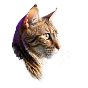 Majestic Cat Head Profile PNG Pmh43 PNG