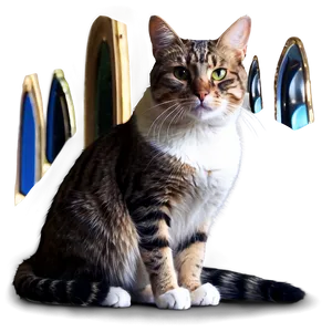 Majestic Cat Meme Png Njo46 PNG image