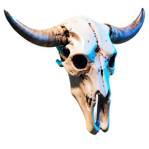 Majestic Cow Skull PNG 48
