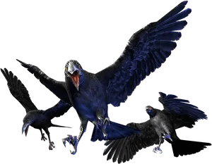 Majestic Crowsin Flight PNG image