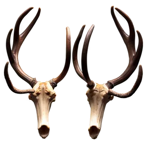 Majestic Deer Antler Design Png Vqi91 PNG image