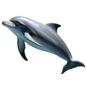 Majestic Dolphin Png 51 PNG image