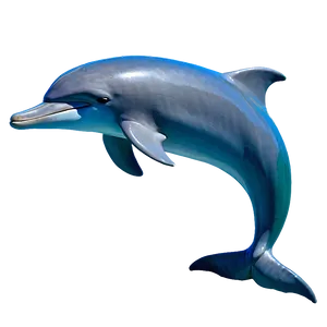 Majestic Dolphin Png 58 PNG image