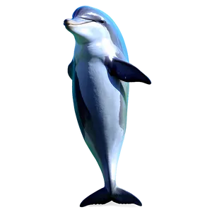 Majestic Dolphin Png 90 PNG image
