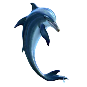 Majestic Dolphin Png Kmn18 PNG image