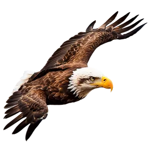 Majestic Eagle Flight PNG Mql71