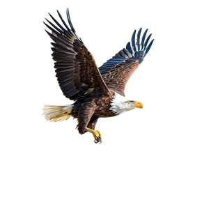 Majestic Eagle Flight PNG Rdf40