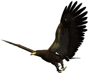 Majestic_ Eagle_ In_ Flight.png PNG image