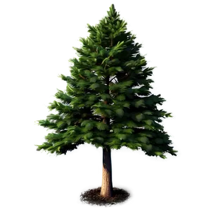 Majestic Evergreen Tree Png 42 PNG image