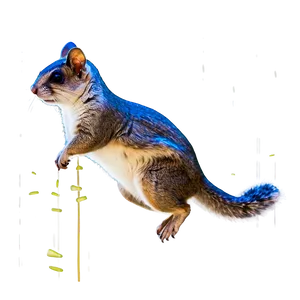 Majestic Flying Squirrel Png 28 PNG image