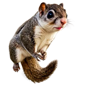 Majestic Flying Squirrel PNG Edc