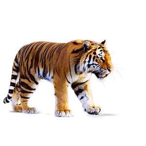 Majestic Fury Tiger PNG 2