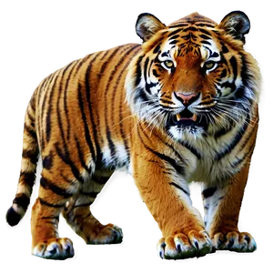 Majestic Fury Tiger PNG Agv88 PNG