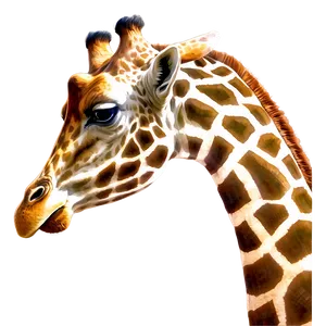 Majestic Giraffe Head PNG 05062024