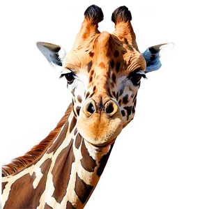 Majestic Giraffe Head PNG Sxv