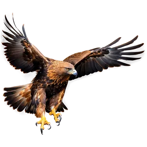 Majestic Golden Eagle PNG 90