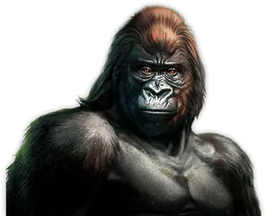 Majestic Gorilla Portrait PNG image