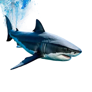 Majestic Great White Shark Png 62 PNG image